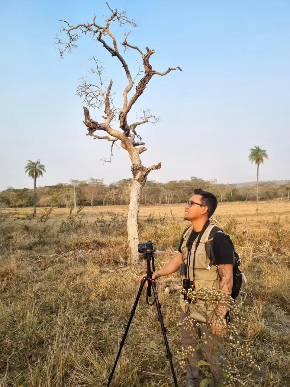 Chaco Birding in Brazil: The Biogeographic Frontier