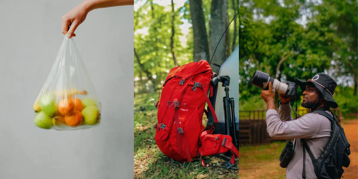What to Bring for a Birdwatching Trip in the Pantanal