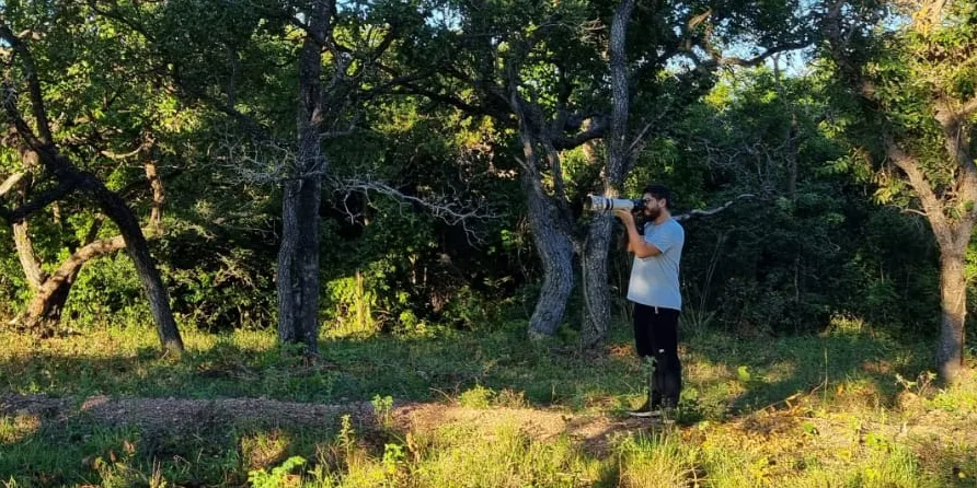 Pantanal wildlife photography guide: Tips for birders & photographers