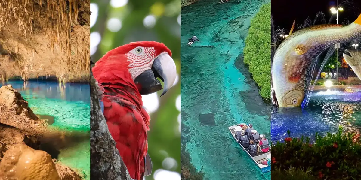 O que fazer em Bonito, Brasil: guia completo de viagem