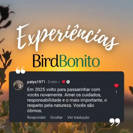 Bird Bonito client reviews on Instagram