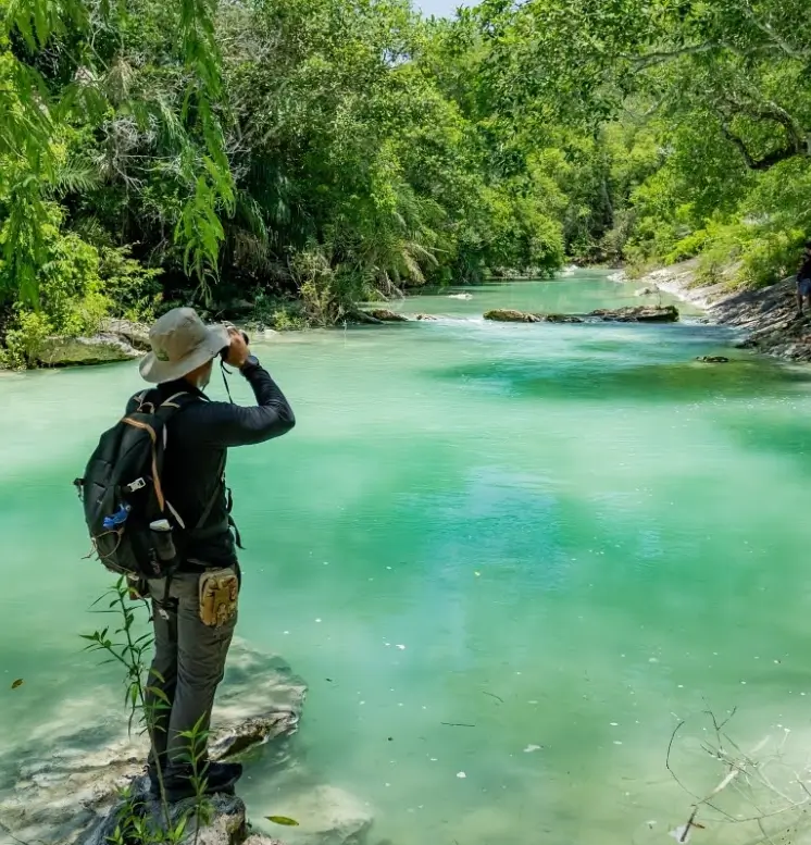 Birdwatching in the Cerrado of Bonito, MS, Brazil