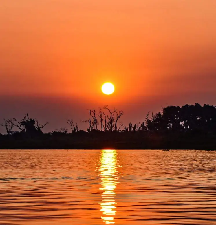 Birdwatching in the Pantanal, Brazil